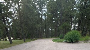 Musta koira, jonka suussa on keltainen pallo, kävelee puiston sorapolkua pitkin.