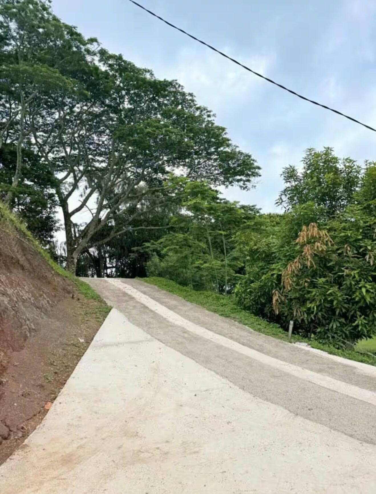 Una carretera pavimentada con ligera pendiente, rodeada de abundante vegetación y árboles.
