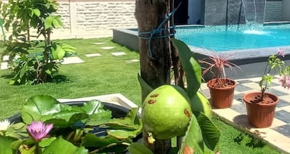 KAY'S EDEN