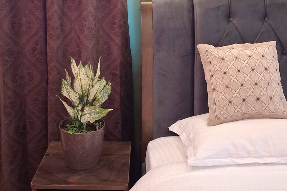 A bedroom with a bed, a nightstand with a plant, a wall-mounted light, and a curtain.