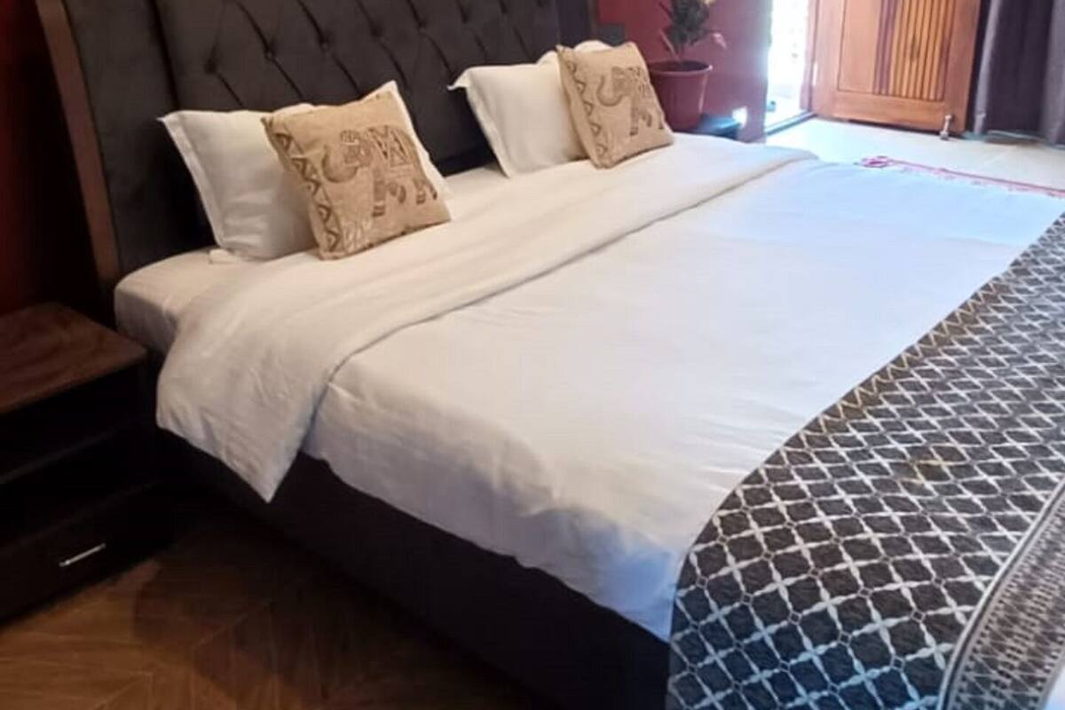 A hotel room with a large bed, a nightstand, a potted plant, and a view of the outside.