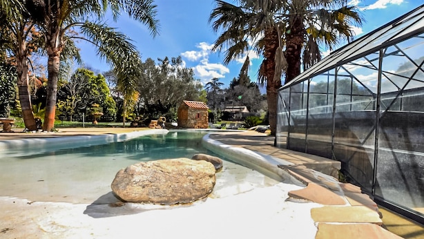 A swimming pool with a rock feature, surrounded by palm trees and a greenhouse structure. - Authentique maison piscine (Laroque Des Albères)