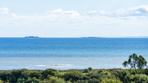 Un paisaje costero con vista despejada al mar, una isla distante y abundante vegetación en primer plano.
