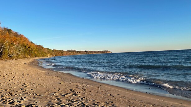 Una playa con cielos despejados, una orilla arenosa y un acantilado con vegetación al fondo.