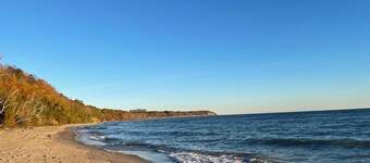 One-of-a-Kind Artistic Retreat - Walk to Beach, Park, Golf, Restaurants & Bars