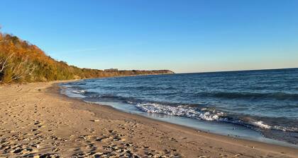 One-of-a-Kind Artistic Retreat - Walk to Beach, Park, Golf, Restaurants & Bars