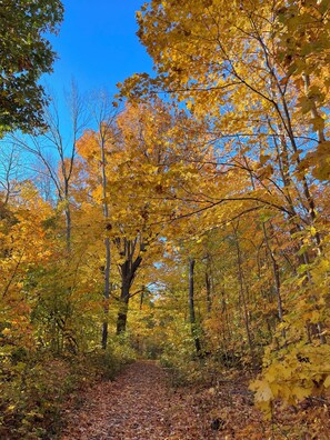 Miscellaneous - One-of-a-Kind Artistic Retreat - Walk to Beach, Park, Golf, Restaurants & Bars (South Milwaukee)