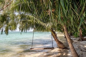 Uma praia com águas cristalinas, palmeiras e um balanço.