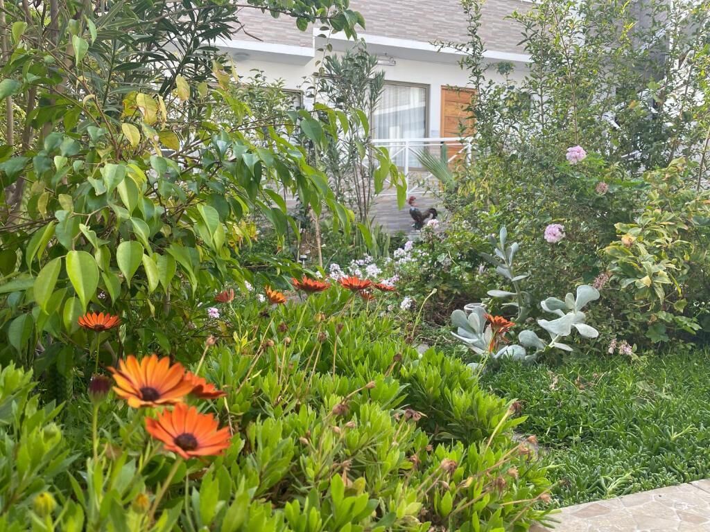 Classic Room, Garden View | Property grounds