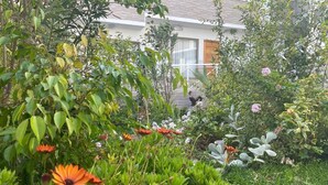 Un jardin avec différentes plantes et fleurs, un bâtiment en arrière-plan et une personne qui marche.