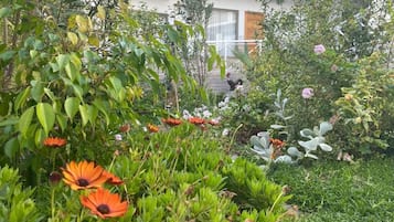 Classic Room, Garden View | Property grounds