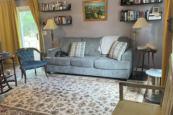 Smart TV, books