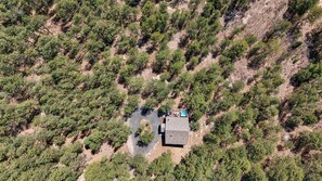 Exterior - Secluded Cozy Cabin /Hot Tub/ Private Mountain Retreat (Monument)