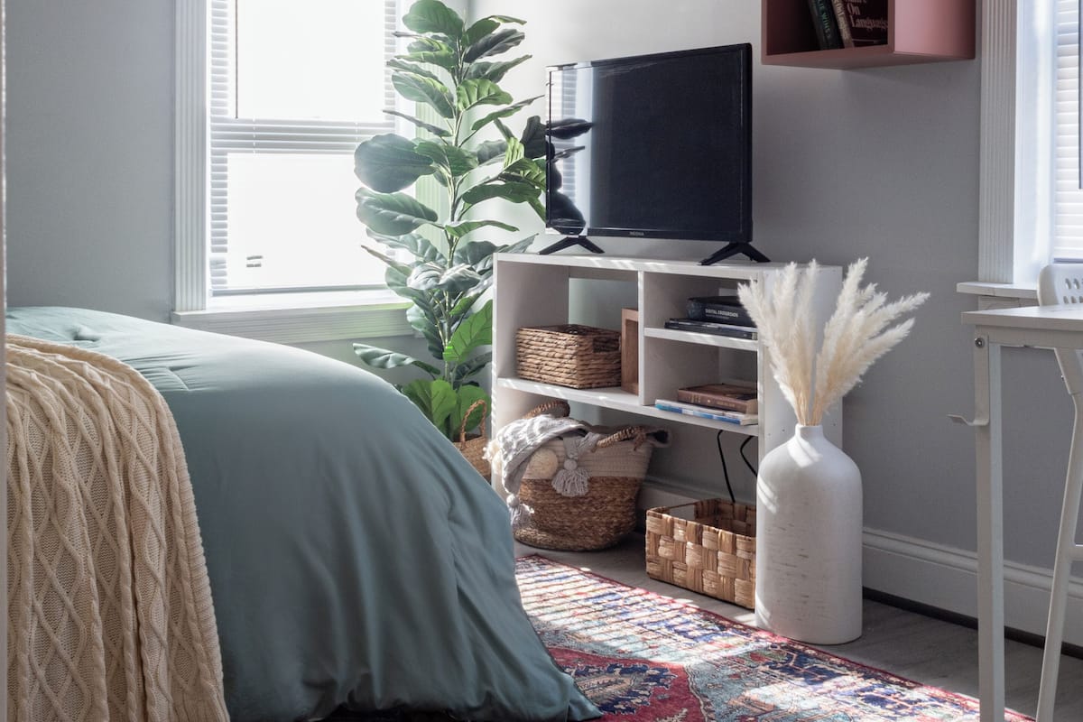A bedroom with a bed, a television, a bookshelf, a plant, and a rug.