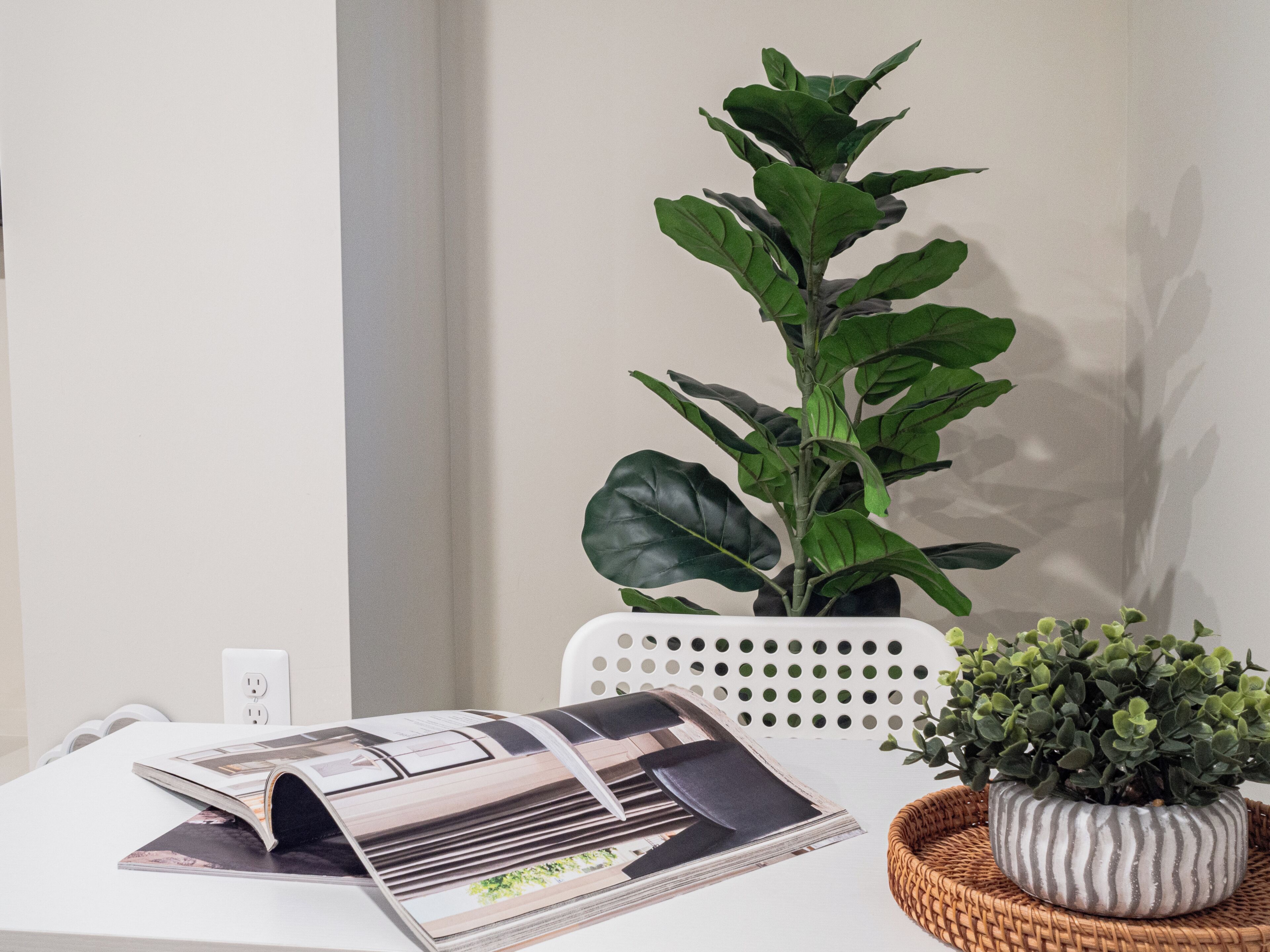 Una taula blanca amb revistes, una planta en test i una cistella de vimet.