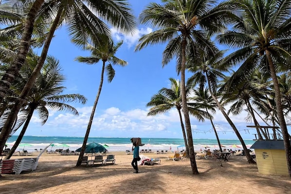 A beach with palm trees, a clear sky, and the ocean in the background.