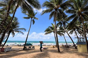 Une plage bordée de palmiers, un ciel dégagé et l’océan en toile de fond.
