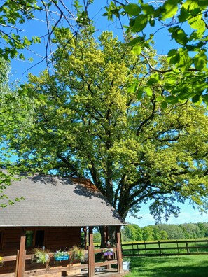 A wooden cabin with a porch, surrounded by lush greenery and a clear blue sky.
