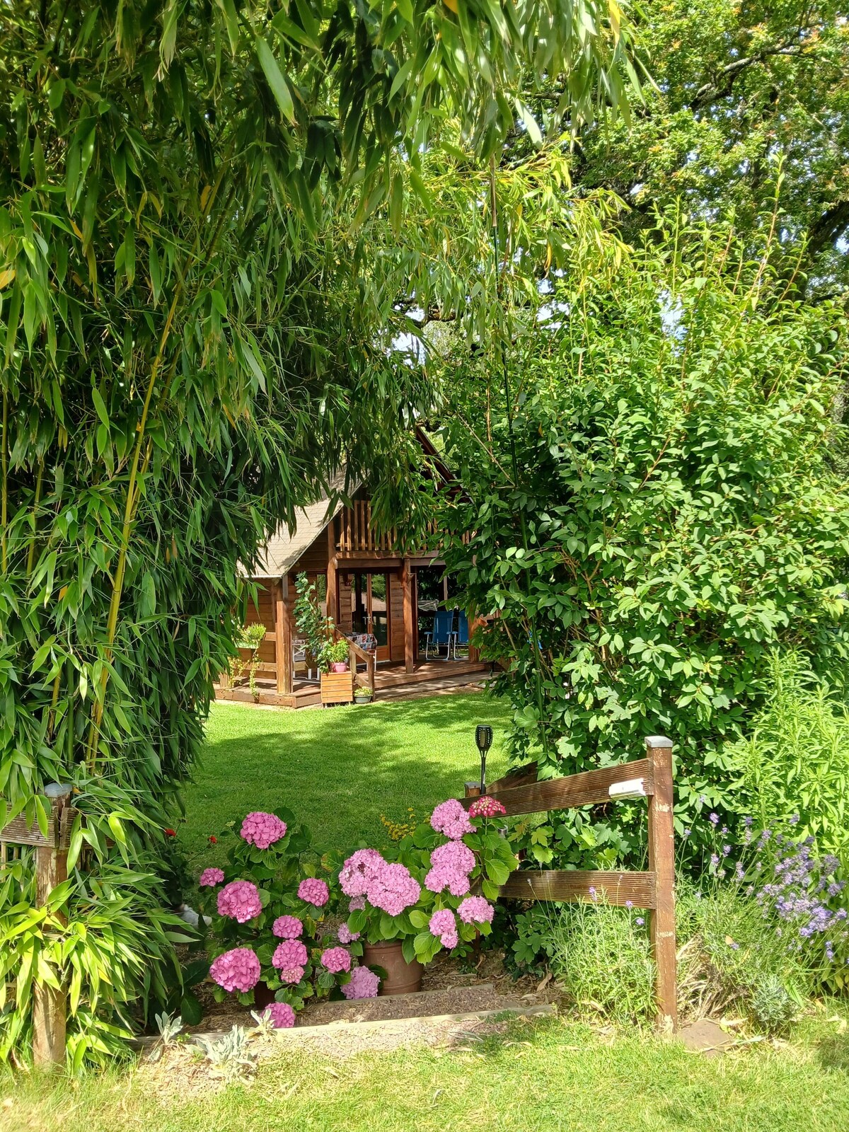 Bild für Gastgeberprofil