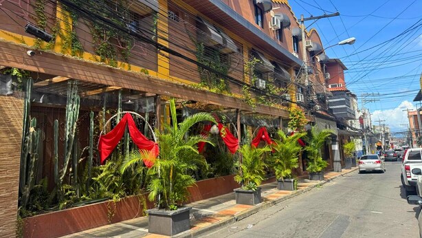 Une vue de rue avec des bâtiments, des voitures et des plantes en pot le long du trottoir.