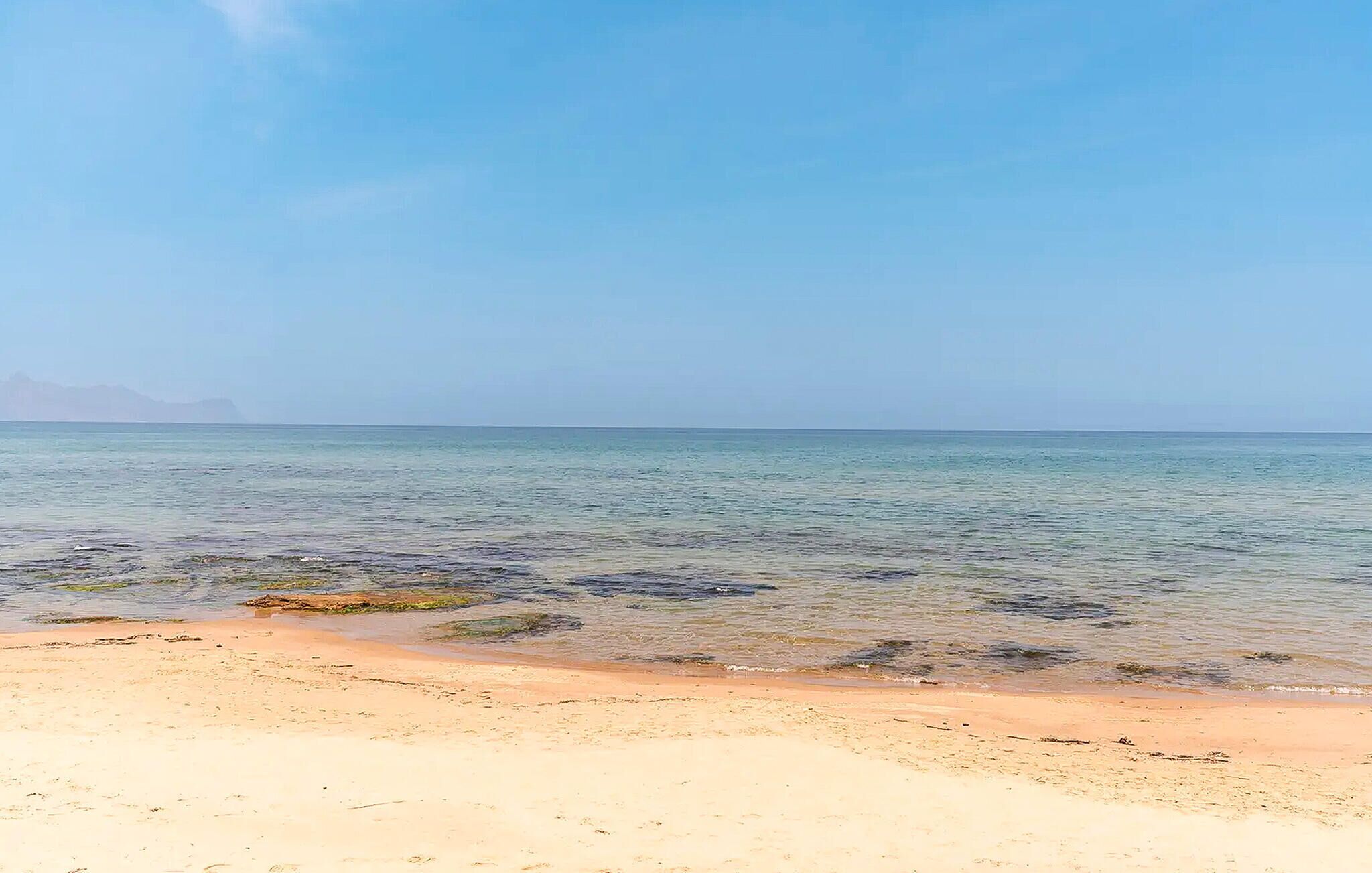 Pesca