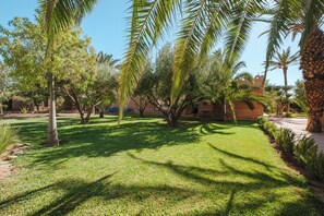 Un jardí ben cuidat amb palmeres i un cel serè.