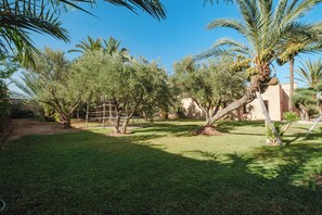 Un jardin agrémenté de palmiers, une pergola et un bâtiment à la façade beige.