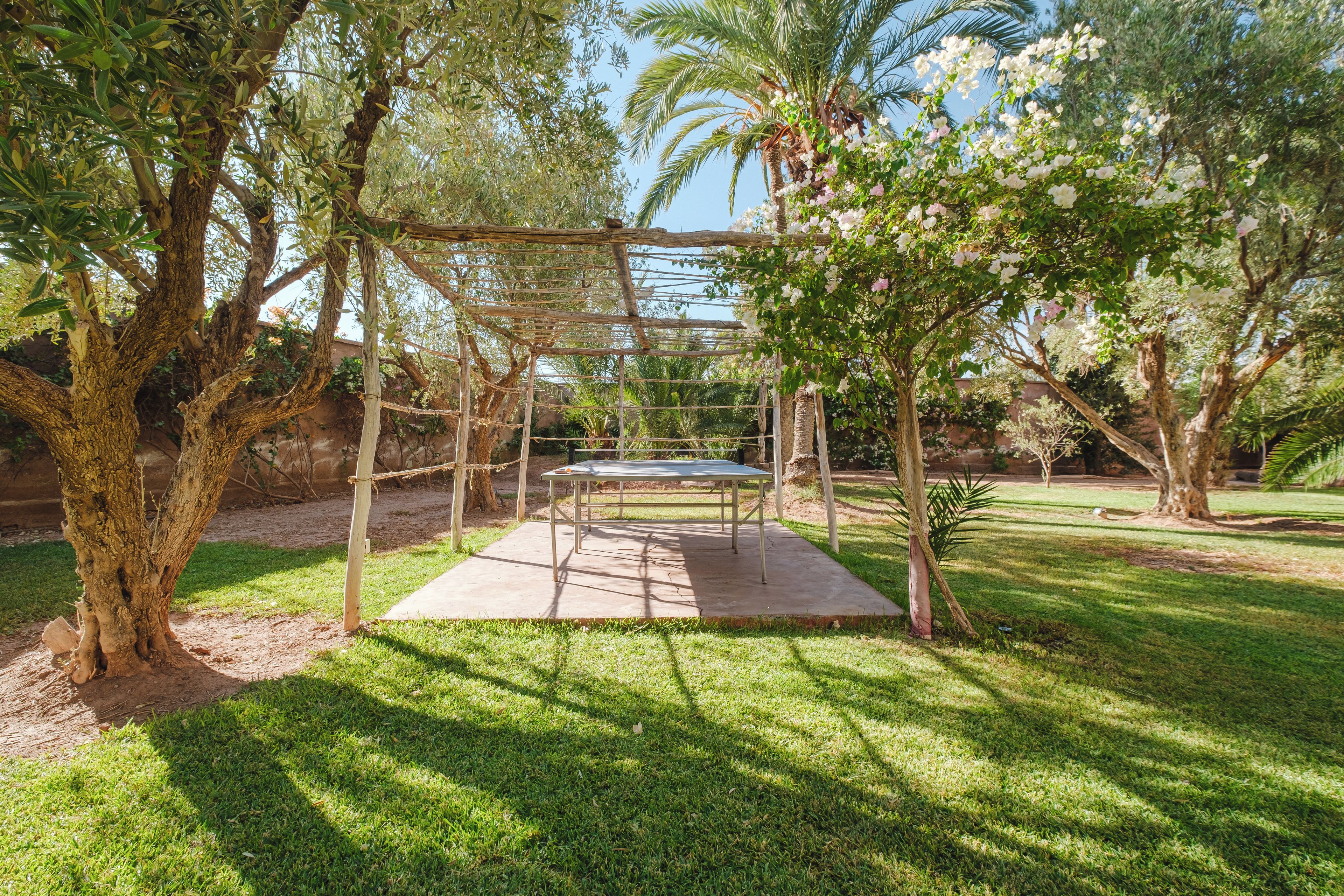 A wooden pergola with a table underneath, surrounded by lush greenery and trees.