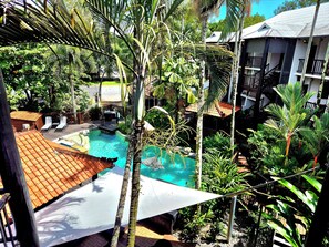 Pool - Hibiscus Delights @ Apartment 34 - a gorgeous apartment in the northern tropics. (Port Douglas)