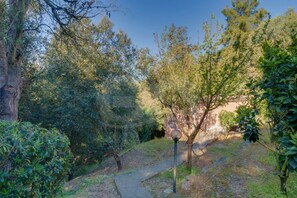 Property grounds - Il Boschetto Sul Mare (Capoliveri)