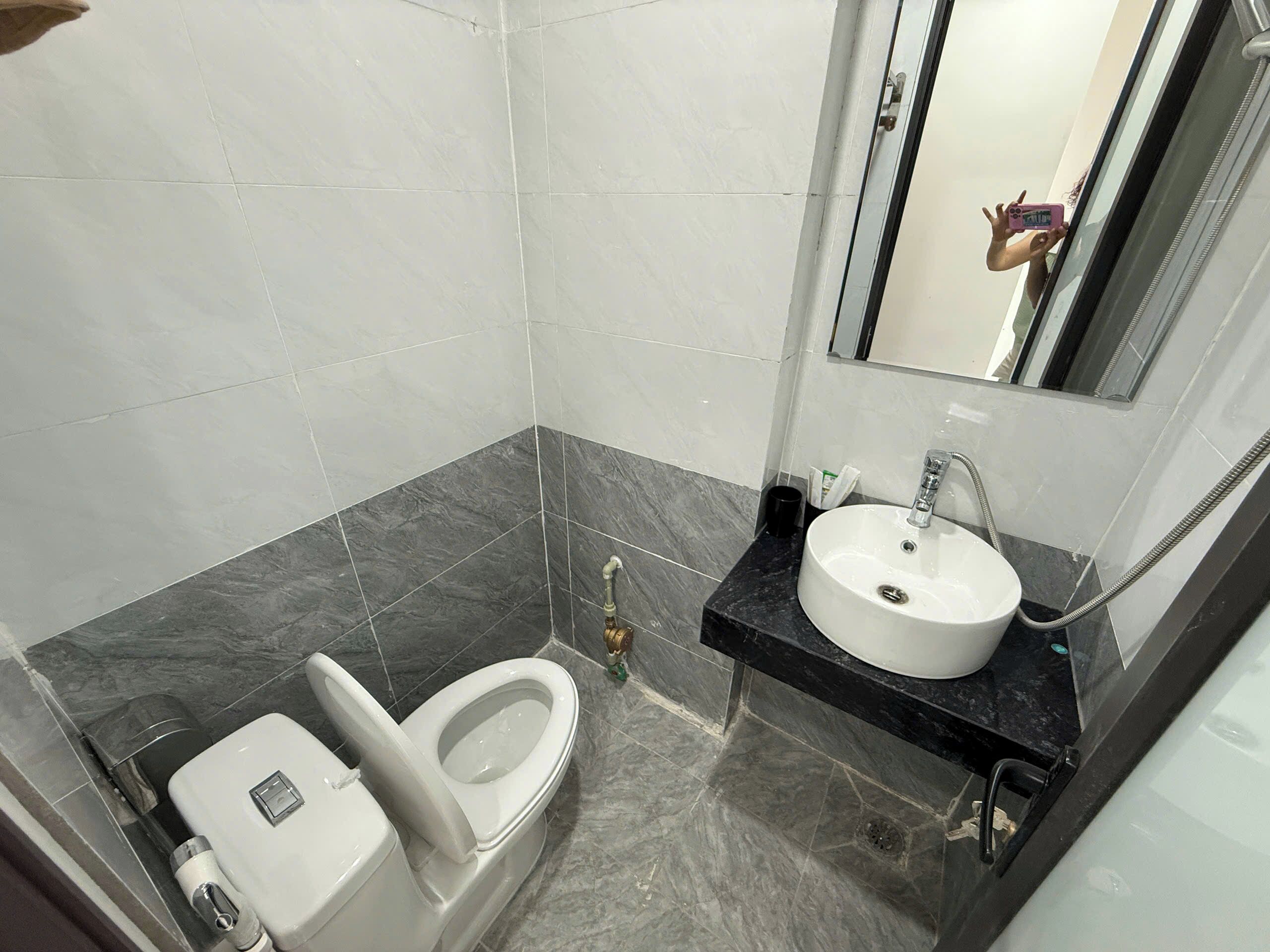 A bathroom with a toilet, sink, and mirror.