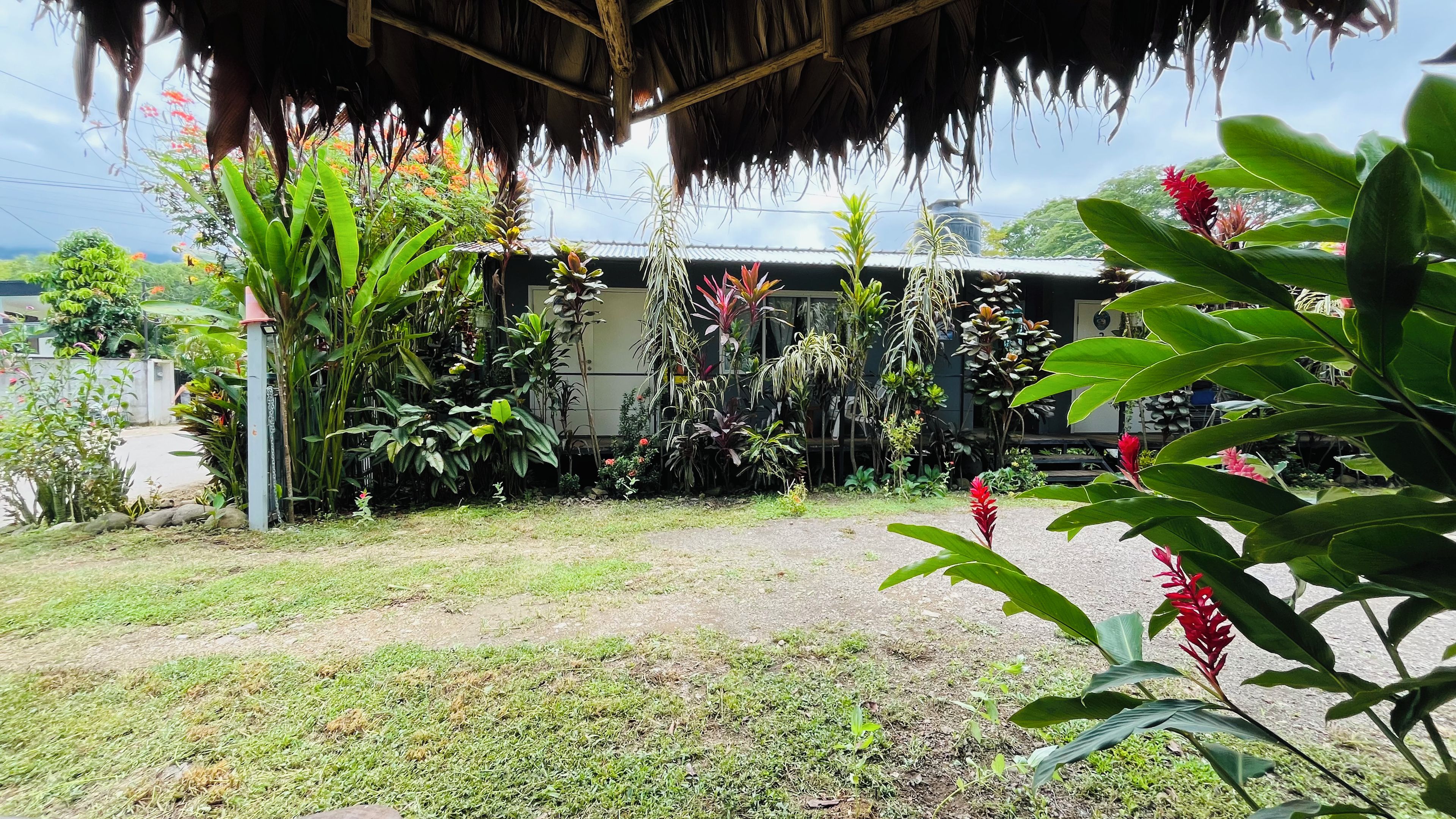 Un espace jardin agrémenté de diverses plantes et doté d’une structure à toit de chaume.