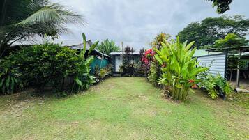 A well-maintained garden with a variety of plants and a small house in the background.
