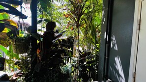 Exterior - Apartamentos equipados DMR (Uvita)