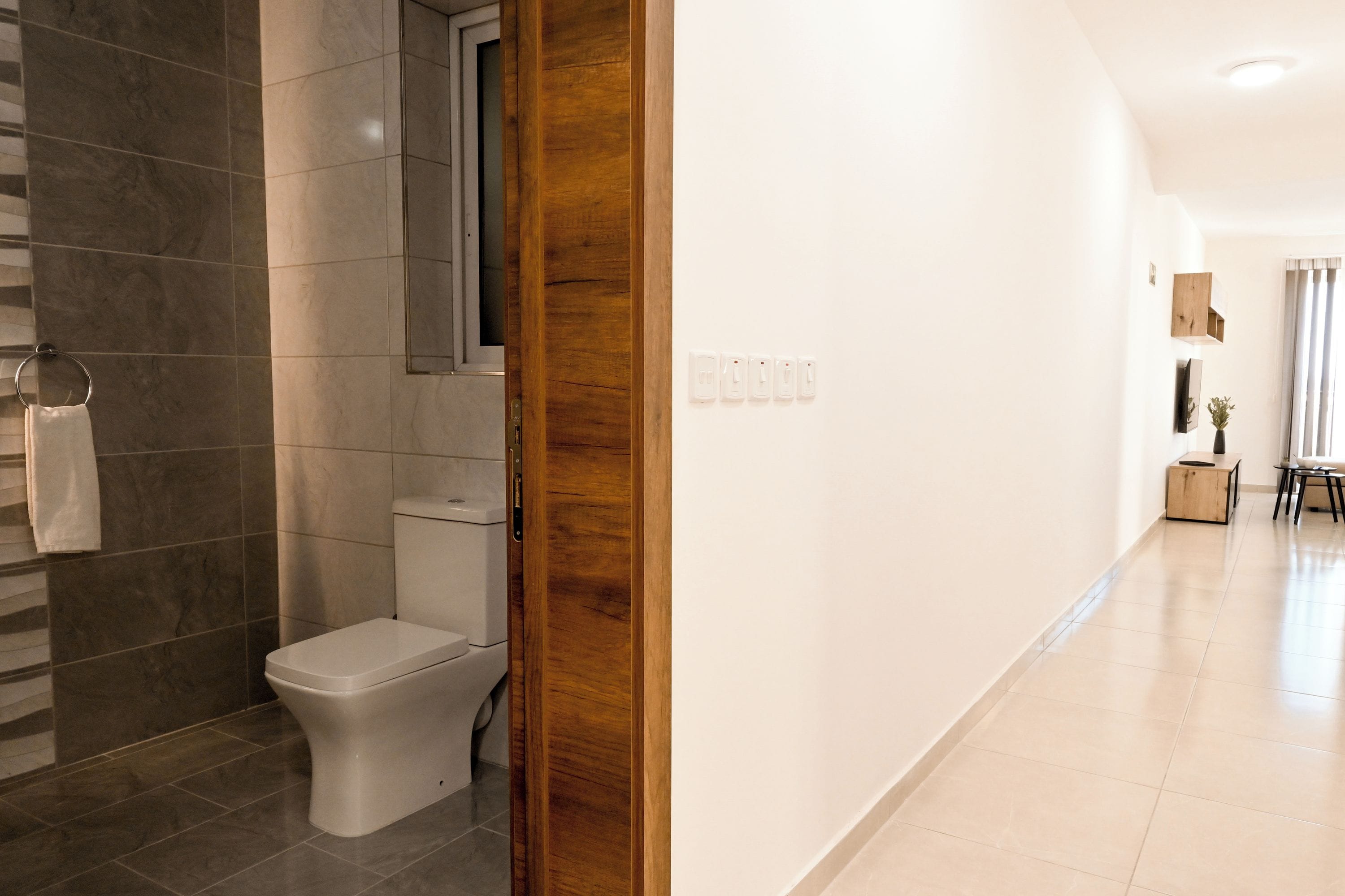 Ein modernes Badezimmer mit Toilette, Dusche und einer Holztür.