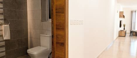 Ein modernes Badezimmer mit Toilette, Dusche und einer Holztür.