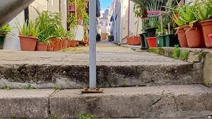 A narrow street with potted plants on the sides, a metal railing, and buildings on either side. - Typical Quarter Nest (Oporto)