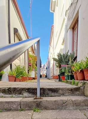 Eine schmale Straße mit Kübelpflanzen an den Seiten, einem Metallgeländer und Häusern auf beiden Seiten.