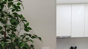 Moderni keittiö, jossa on valkoiset kaapit, sisäänrakennettu uuni ja ruukkukasvi.