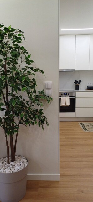 Interior - Barramares Concept Lifestyle Oporto City Center (Oporto)
