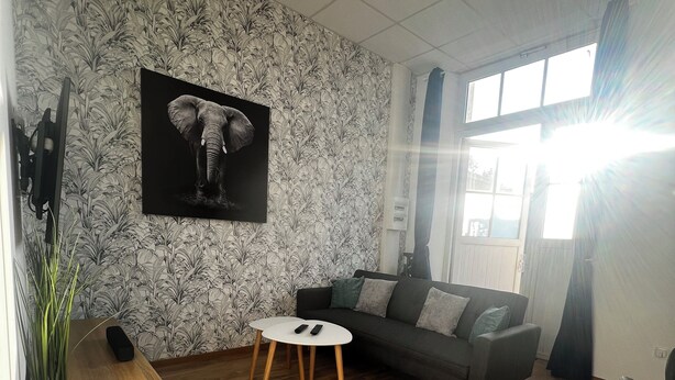 Un salon avec un papier peint à motifs, un canapé, une table basse, un téléviseur et une plante en pot.