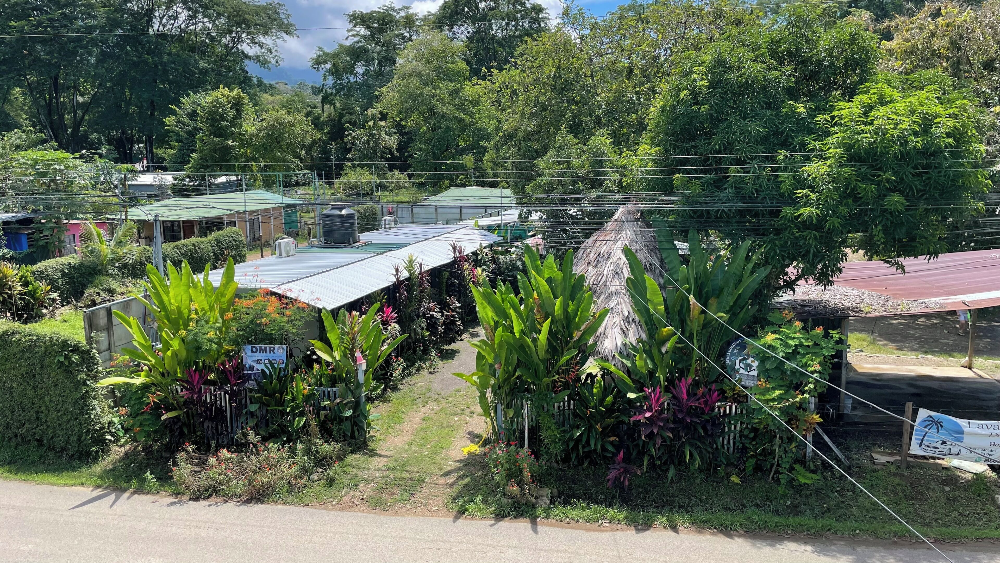 A garden with various plants and a building with a green roof.