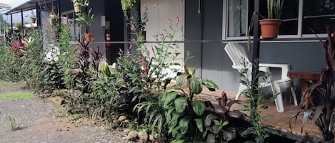 Standard Apartment | Terrace/patio