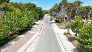 A tree-lined street with a clear road, sidewalks, and a distant car. - Richard Sea View Apartment (Qendër Vlorë)