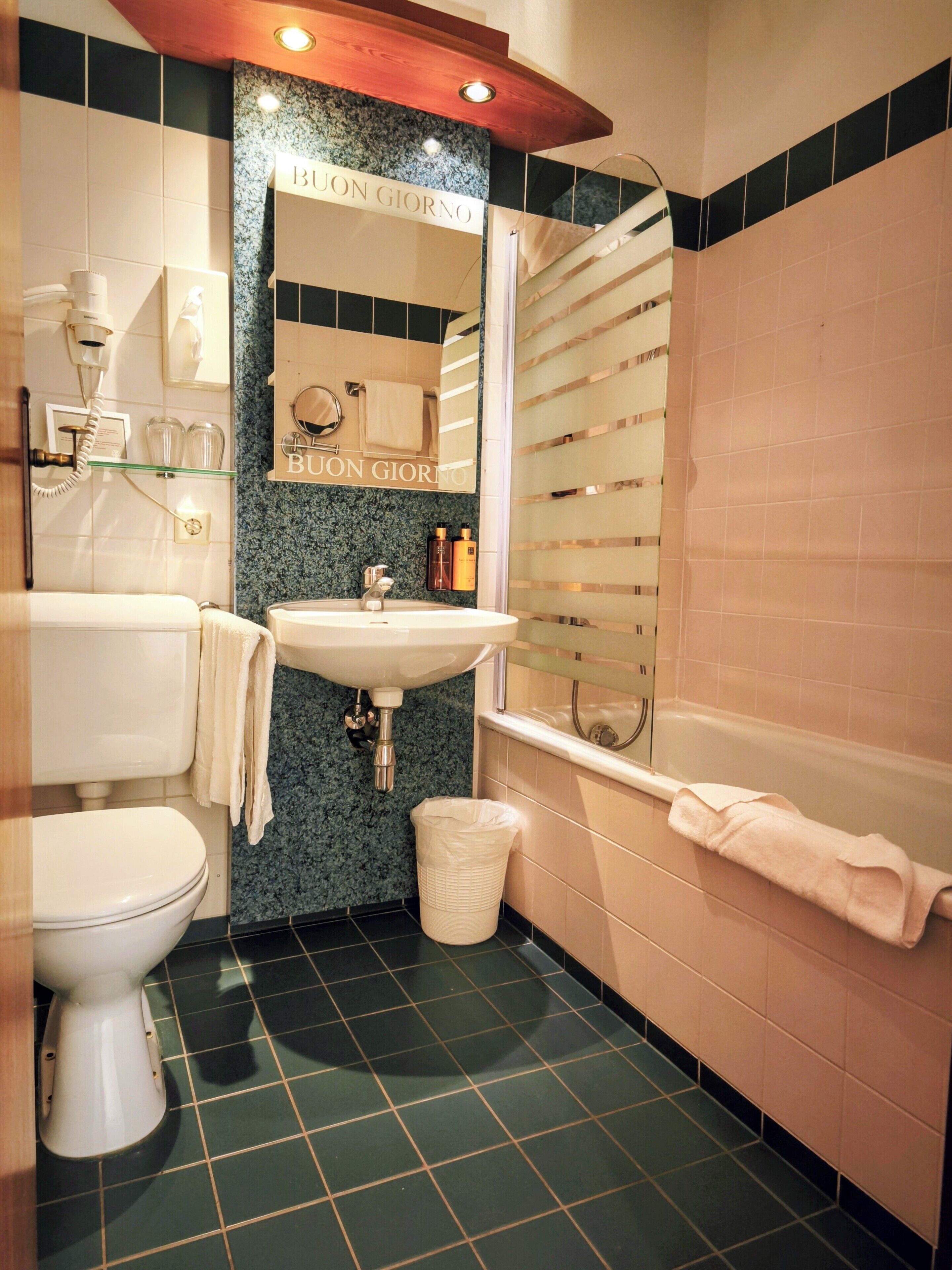 Hair dryer, towels, toilet paper