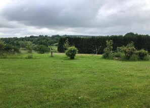 Eine grüne Wiese mit vereinzelten Bäumen und einem dichten Wald im Hintergrund.