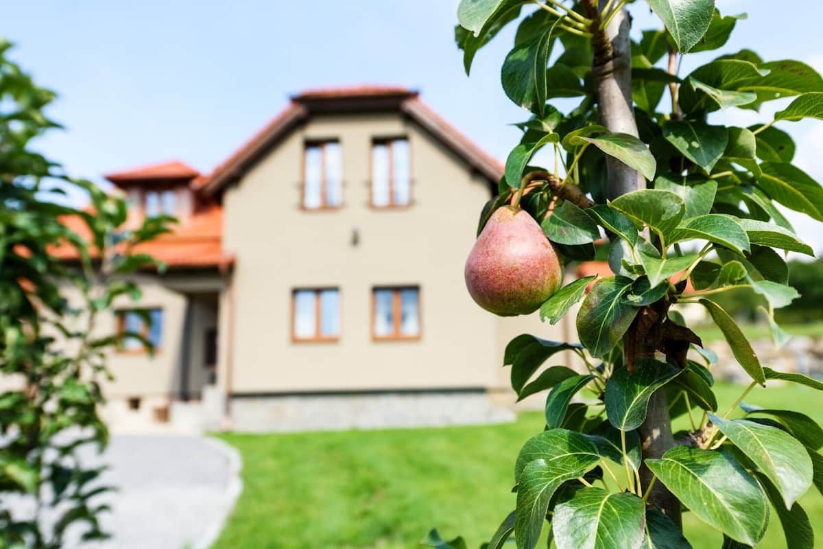 Villa – deluxe, 3 soverom | Eksteriør
