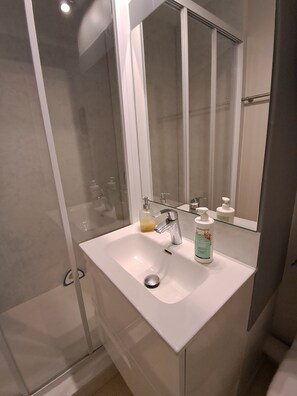 Ducha, secador de pelo y papel higiénico