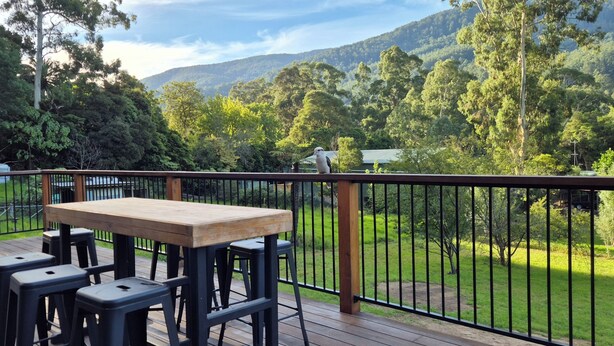 Une terrasse en bois, agrémentée d’une table et de chaises, entourée d’une rambarde en métal noir, et offrant une vue sur un paysage verdoyant et luxuriant, avec des arbres et une montagne au loin.