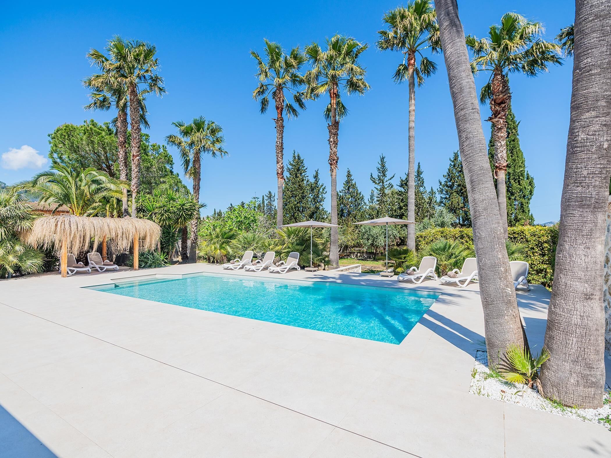 A swimming pool with lounge chairs, surrounded by palm trees and a clear blue sky.